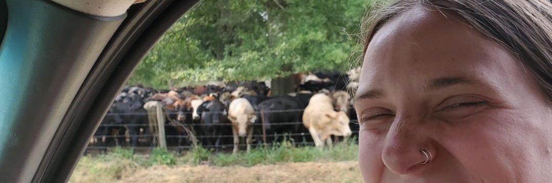 torrdanielle4's profile banner image