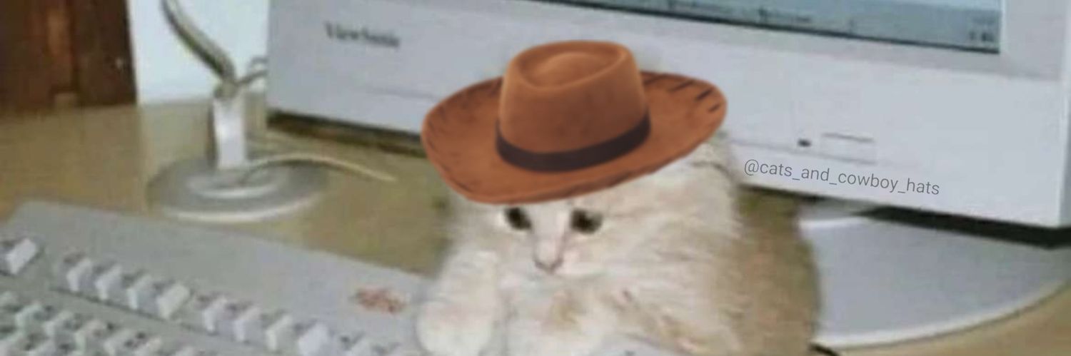AllisonMRay's profile banner image