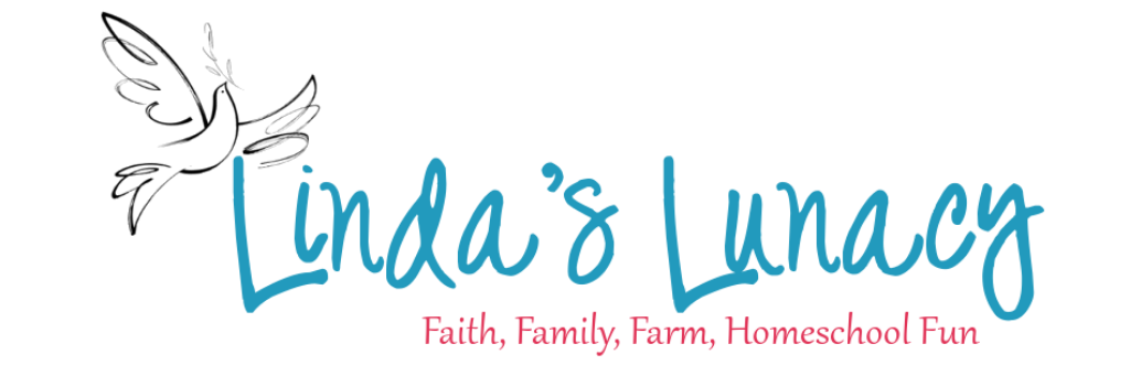 Linda's Lunacy banner