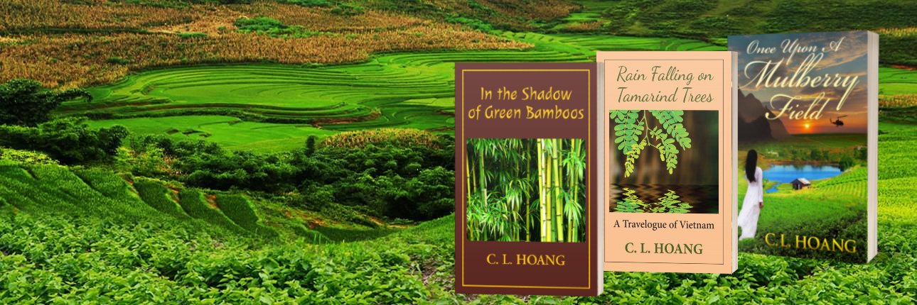 CLHoang's profile banner image