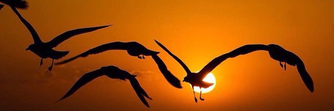 fayazsindh's profile banner image