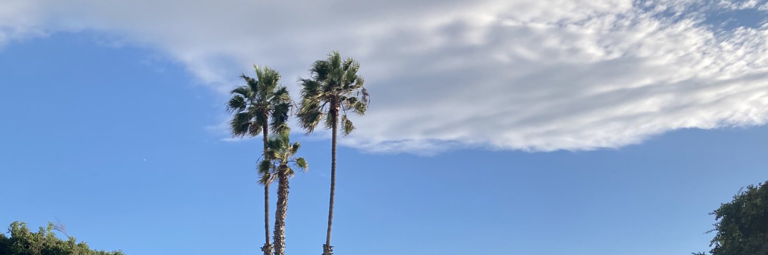 TheMan FloPro banner