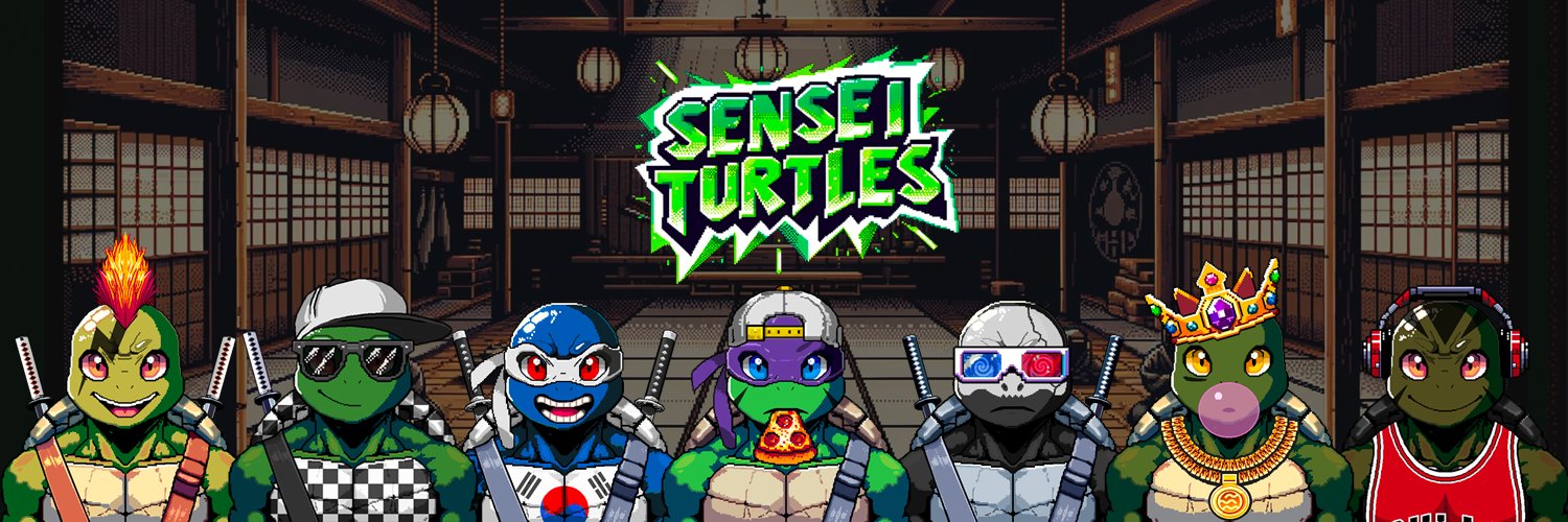 Sensei Turtles banner
