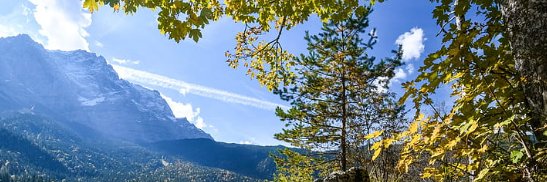 Vinit Ahlawat banner