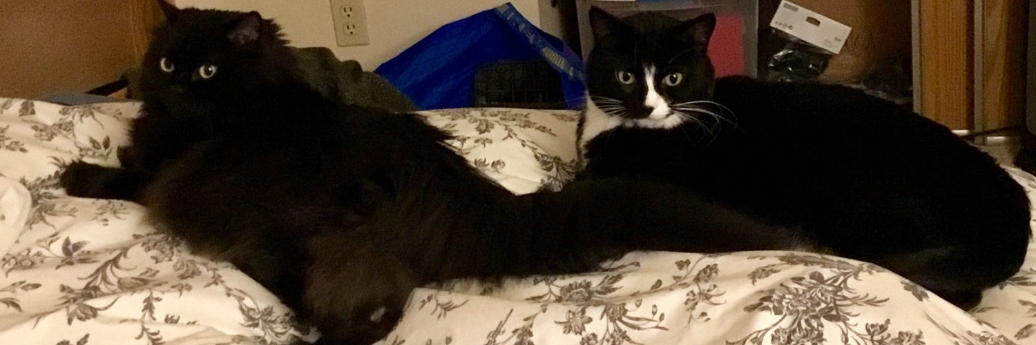 The Ehk'olite banner