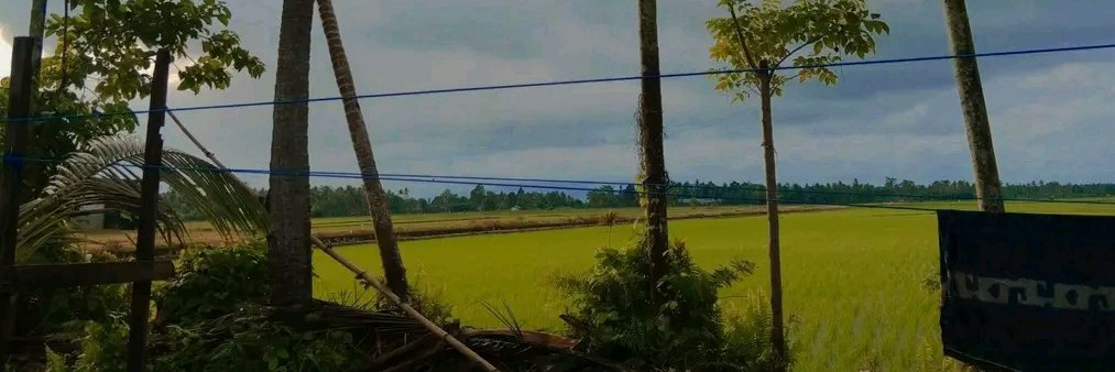 Ridwan bila banner