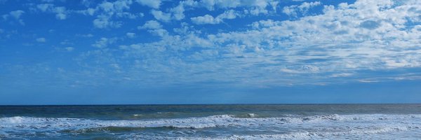 raynamad Profile Banner