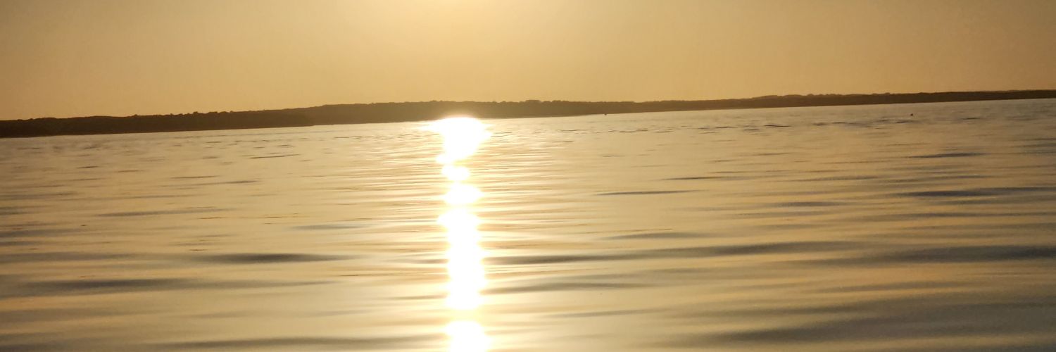 Erica Burgess banner