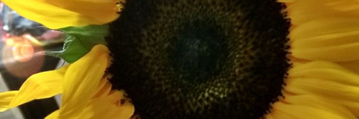 NatashaMedrano1's profile banner image