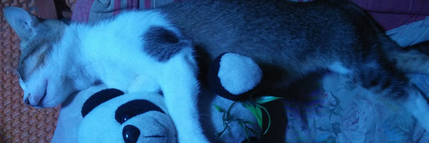 dinfeb16's profile banner image