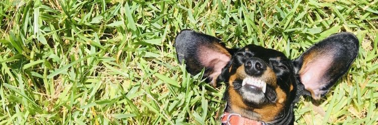 _hannahconner's profile banner image