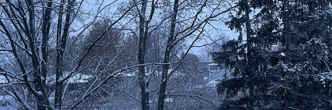 Shyraphine 🤪 banner