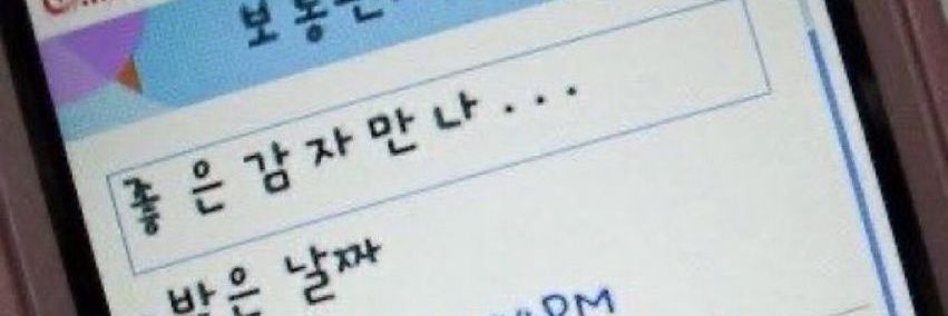 햄스타치오 banner