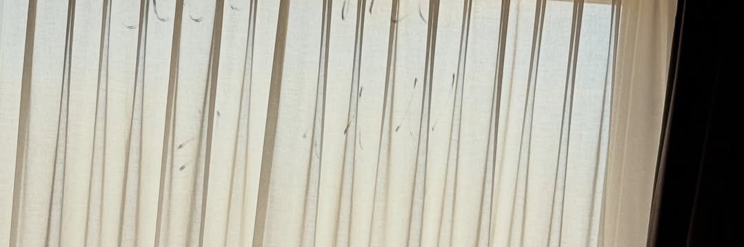 reya banner
