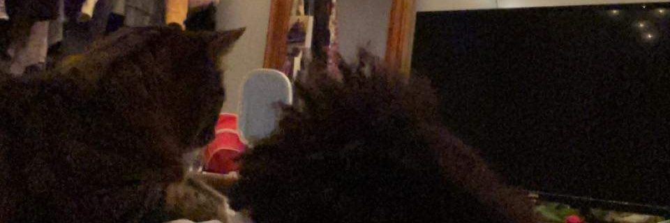 RamonFultz's profile banner image