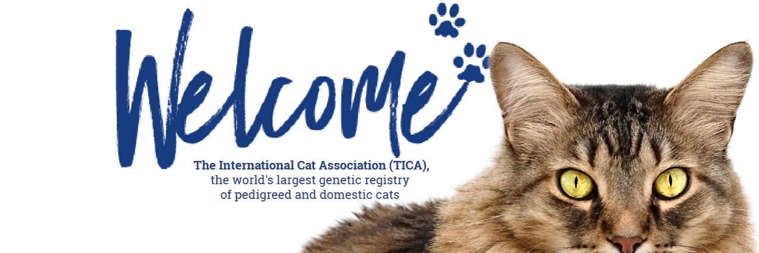 TICAcats banner