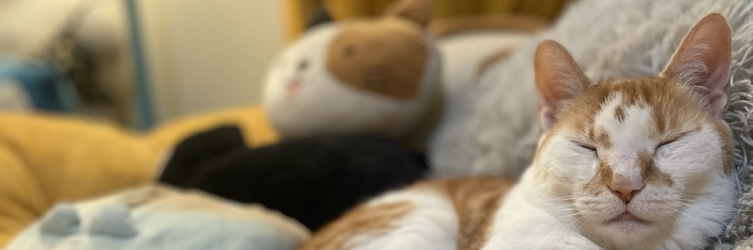 Po8aster's profile banner image