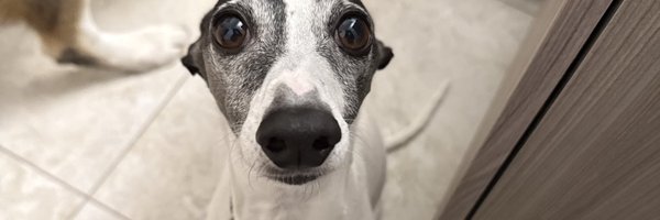 stevehunsaker1 Profile Banner