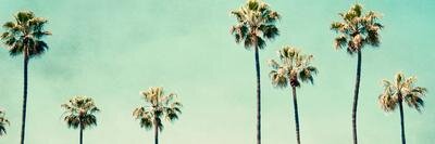 htd23's profile banner image