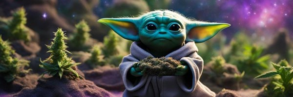 StevenDo81 Profile Banner