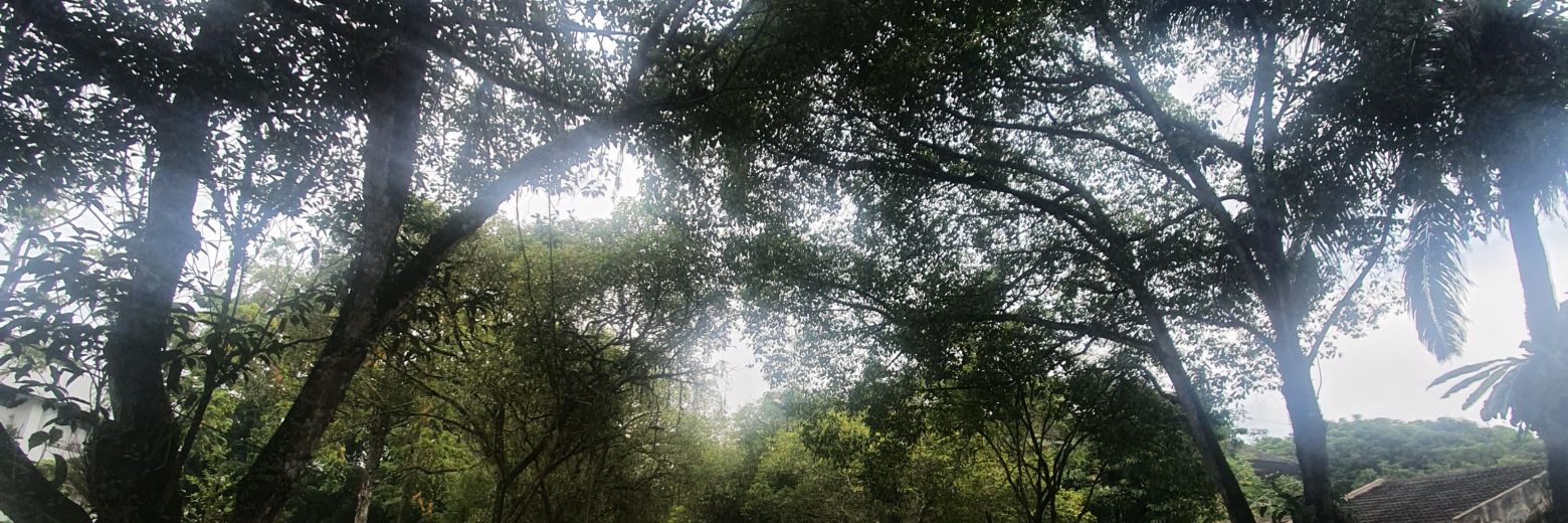 Aguz²⁵ (Semigap?) banner