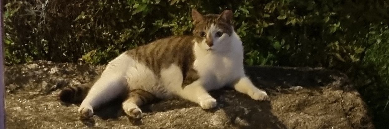 바람부는바람 banner