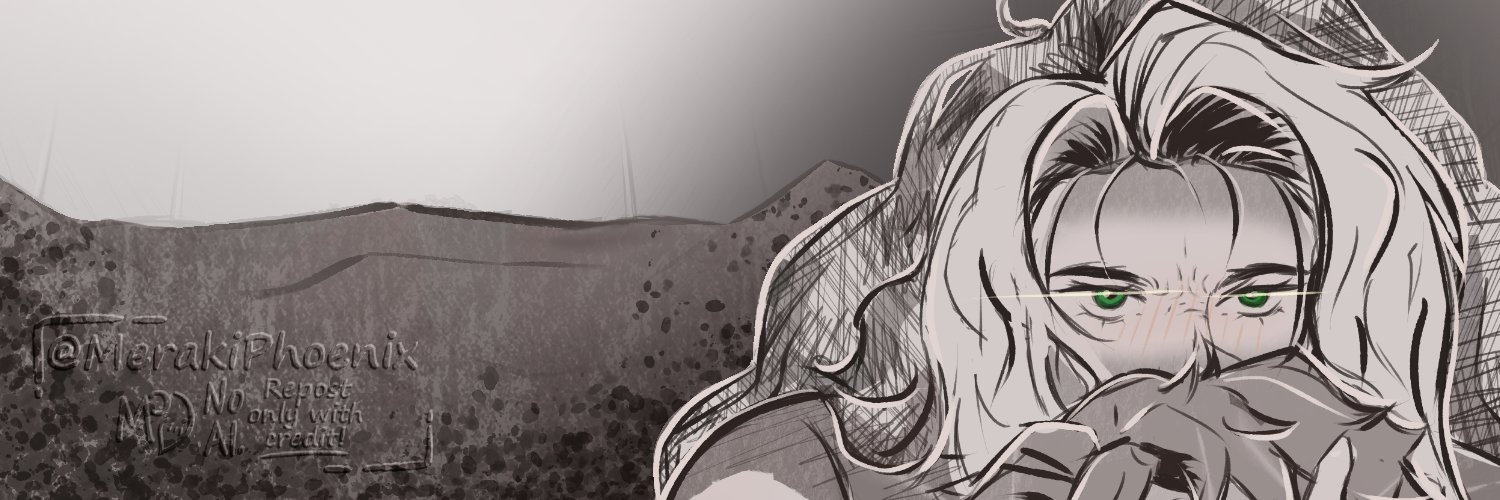 Meraki Phoenix banner