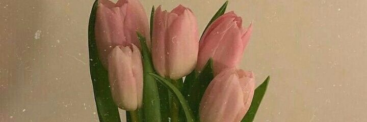 sialidh_'s profile banner image