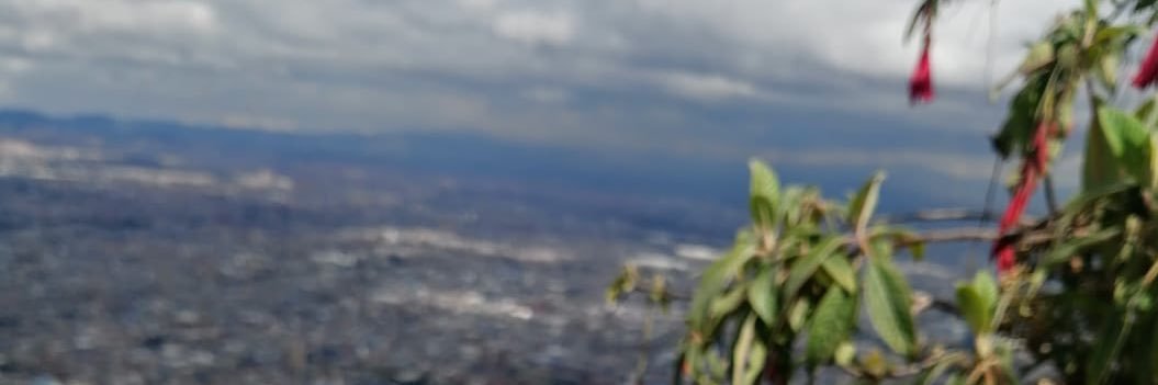 lorrainemassiel's profile banner image