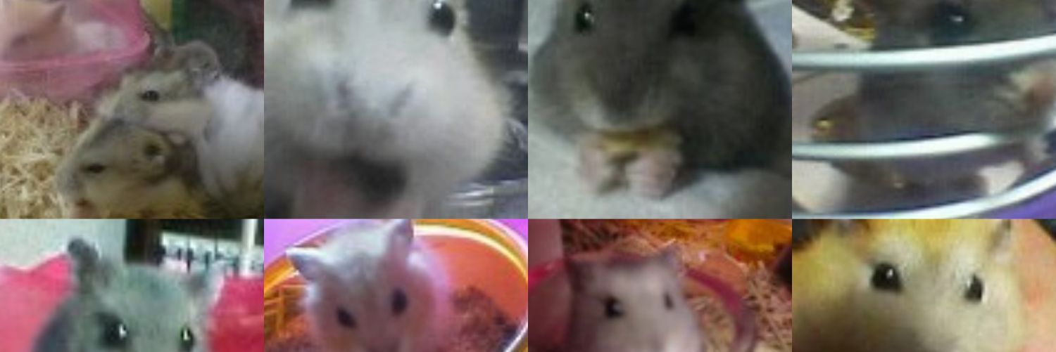 ham_data_home's profile banner image