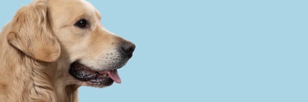 CultMemberWatch's profile banner image