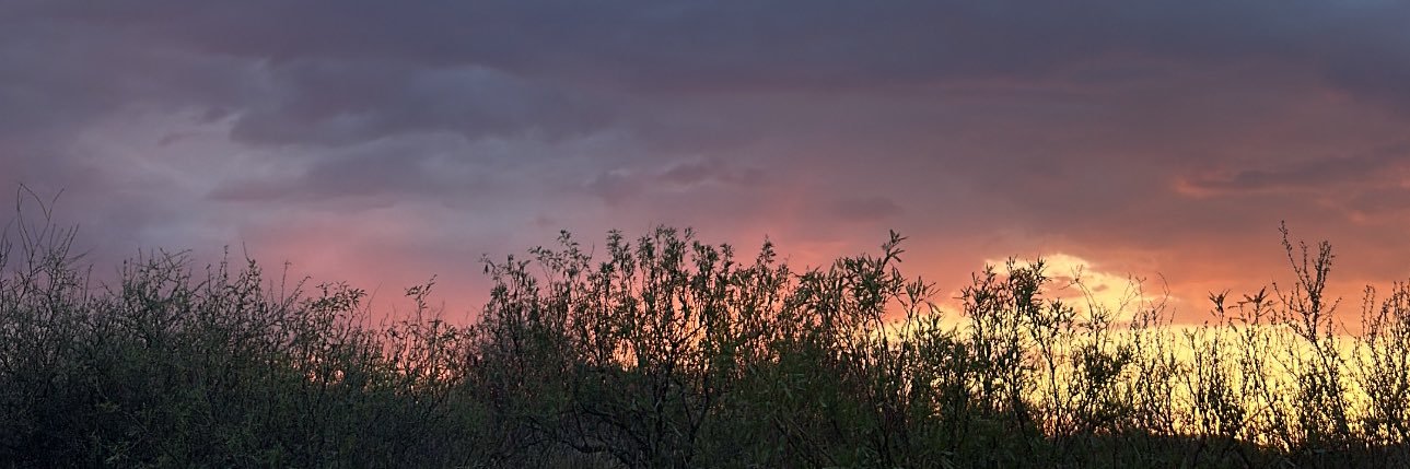 PP_Boi7's profile banner image