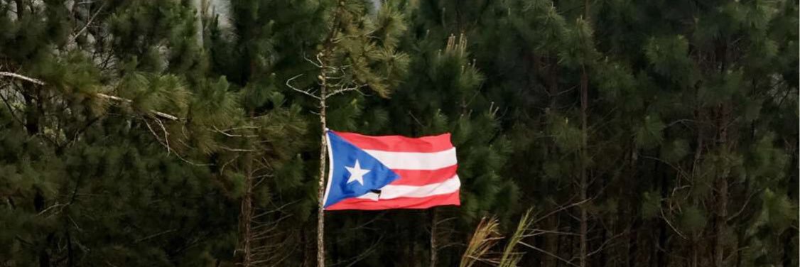 yarylisbracero's profile banner image