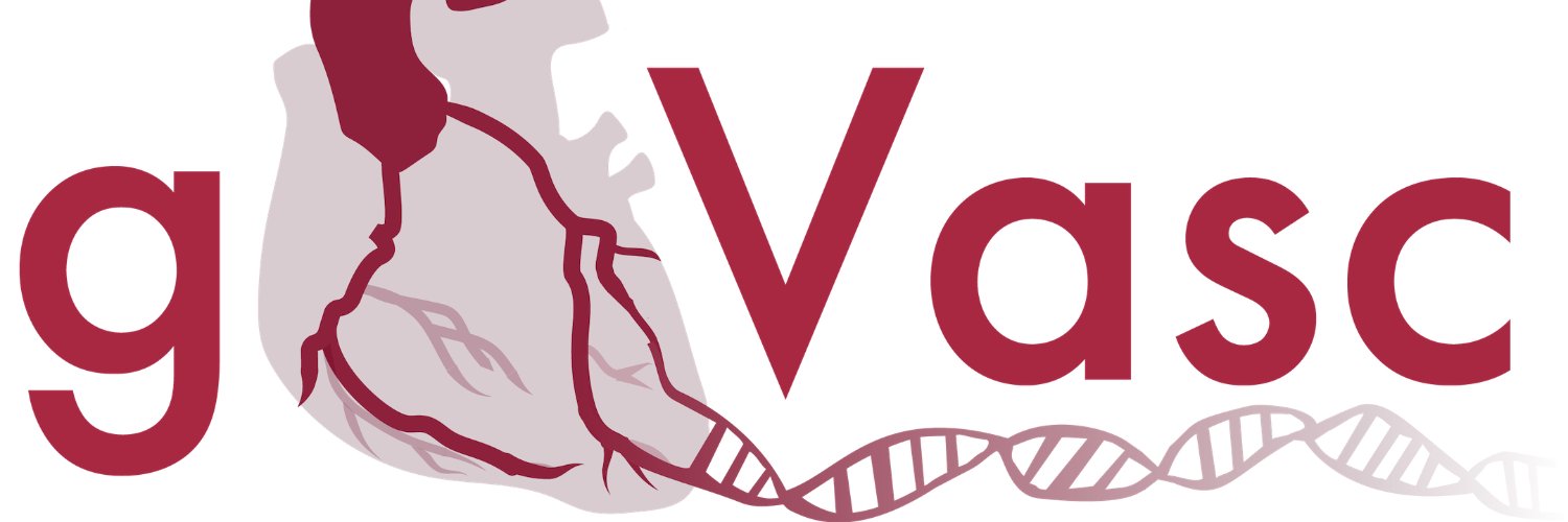 gVasc Study banner