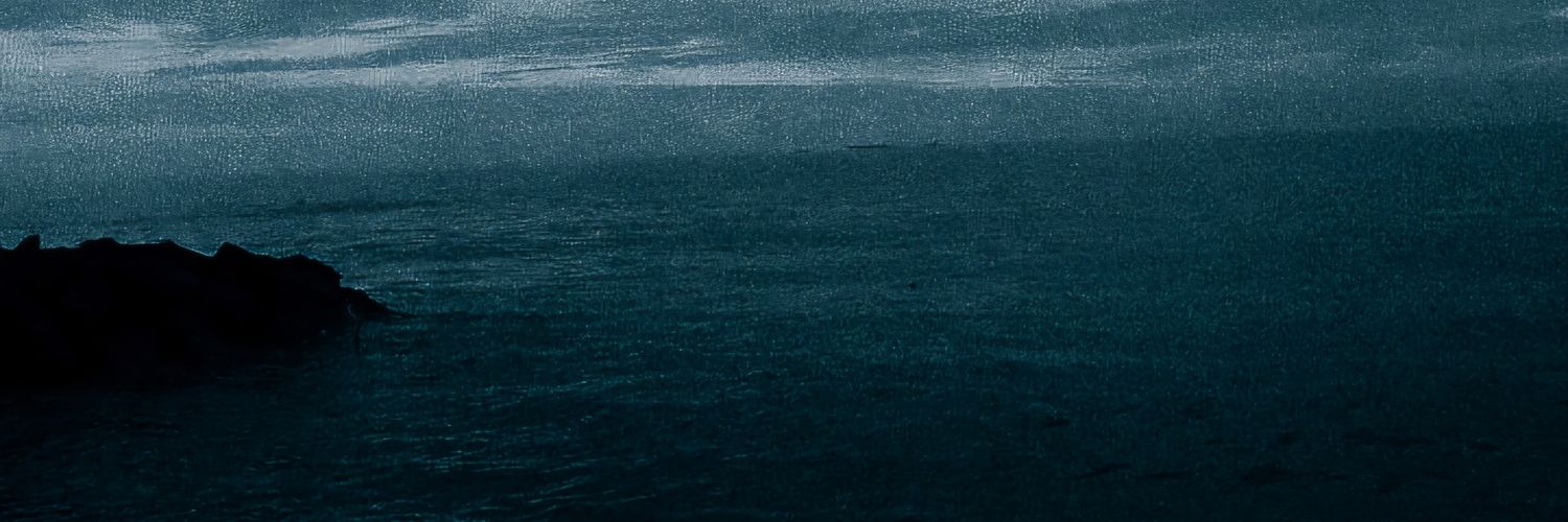 keshakrokerrr's profile banner image