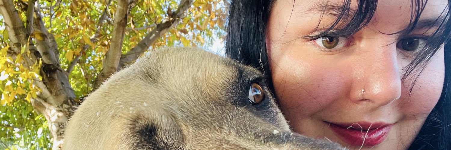 buseeroll0's profile banner image