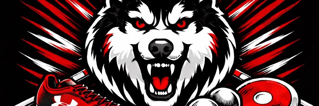 Aurora Huskies Track & Field banner