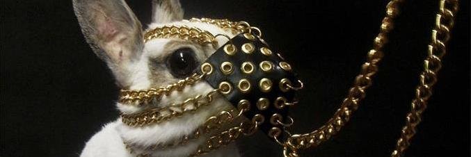 pashpop's profile banner image