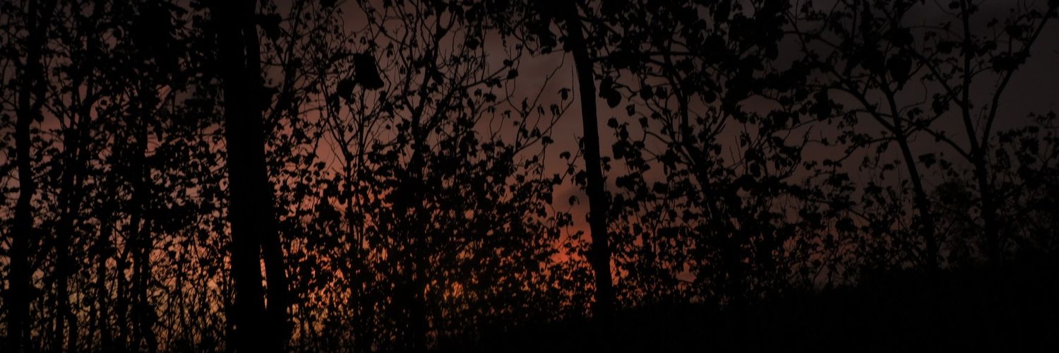 mutia_R_A's profile banner image