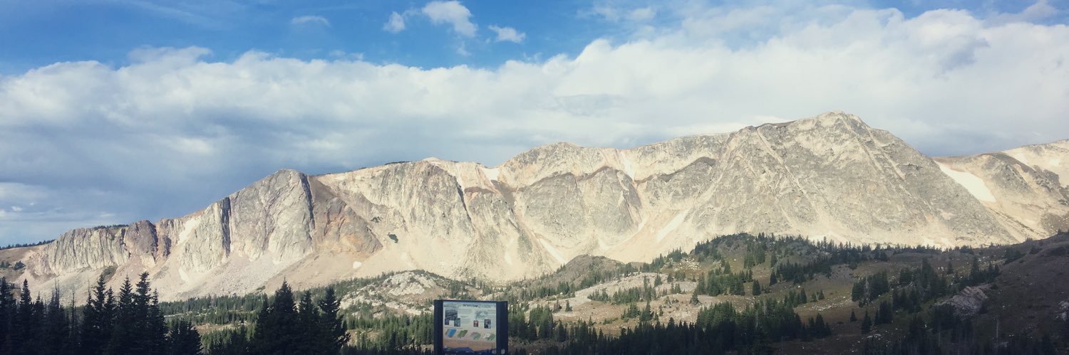 LindseyMLerner's profile banner image