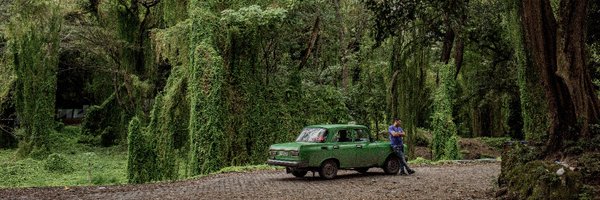 New York Times World Profile Banner