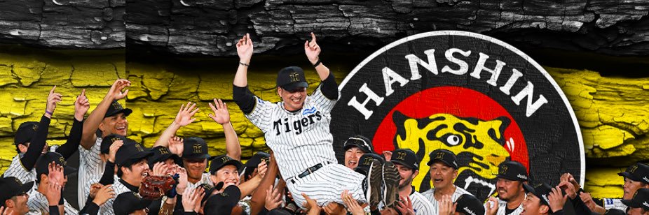 やきゅうねこ banner