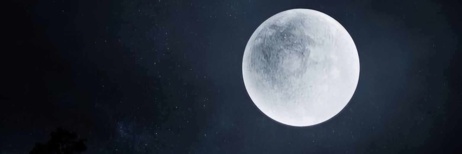yourhonor74's profile banner image