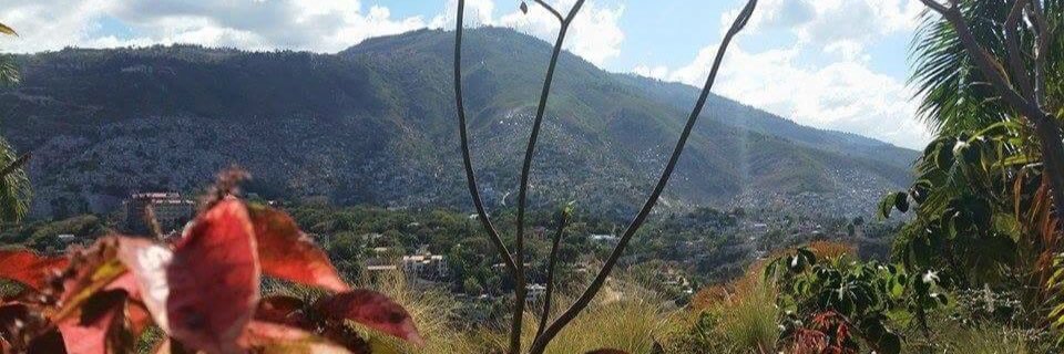 amymanning95's profile banner image