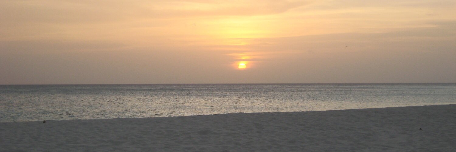 RenewedDawn's profile banner image
