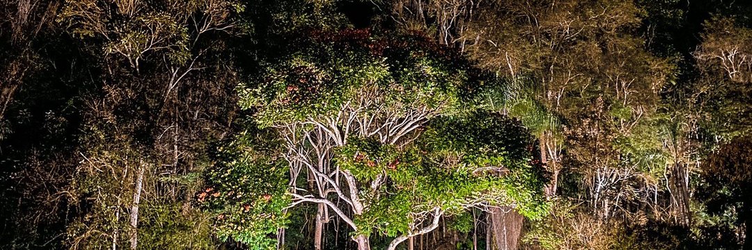 Lu banner