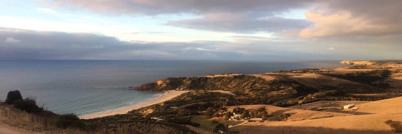 Claire Mackay banner