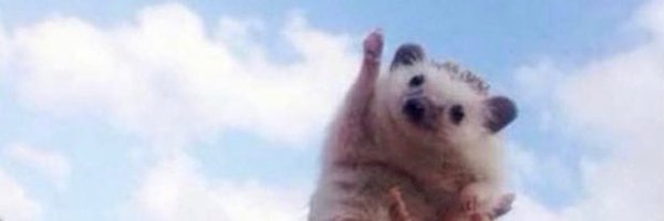 eolas45 Profile Banner