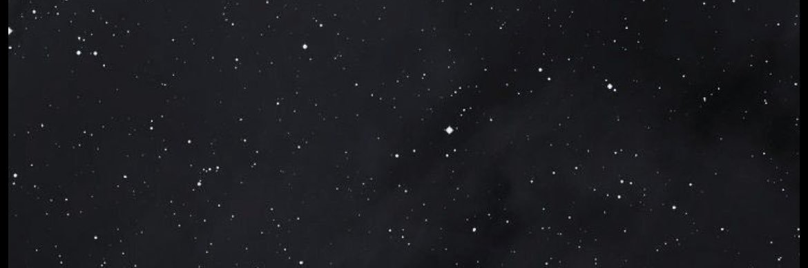 vaaniamg's profile banner image