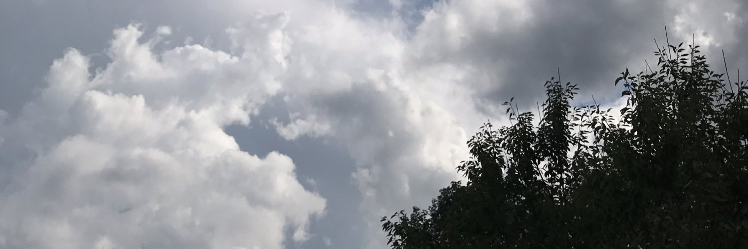 LiveSup's profile banner image